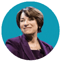 Senators Klobuchar, Warren & Schiff